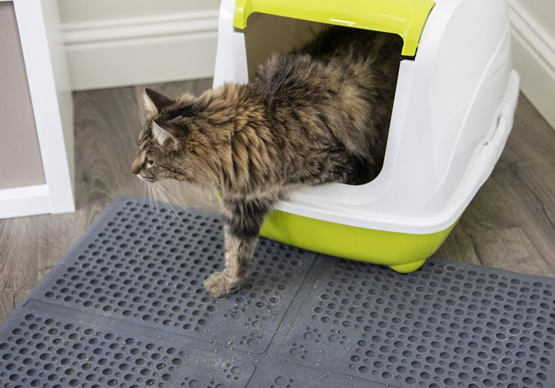 Petlinks Purr-fect Paws Multipurpose Rubber Litter Mat for Cats & Kittens, Helps Control Litter, Easy Clean Up Design - Gray, Large - Image 5